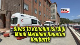 Kenenin Isırdığı Minik Metehan Hayatını Kaybetti!