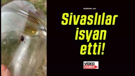 Sivaslılar isyan etti!