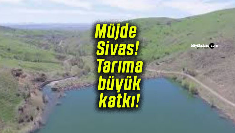 katkıs