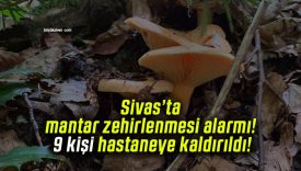 Sivas’ta mantar zehirlenmesi alarmı! 9 kişi hastaneye kaldırıldı!