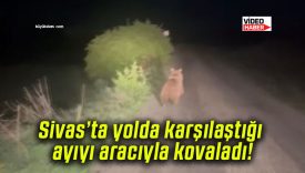Sivas’ta yolda karşılaştığı ayıyı aracıyla kovaladı!