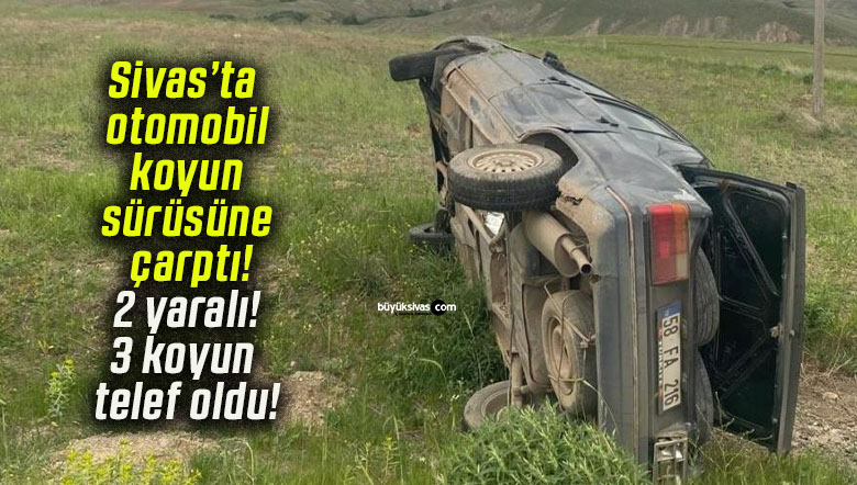 Sivas’ta otomobil koyun sürüsüne çarptı! 2 yaralı! 3 koyun telef oldu!