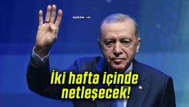 İki hafta içinde netleşecek!