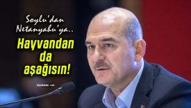 Hayvandan da aşağısın!