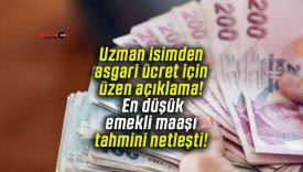 Uzman isimden asgari ücret için üzen açıklama! En düşük emekli maaşı tahmini netleşti!