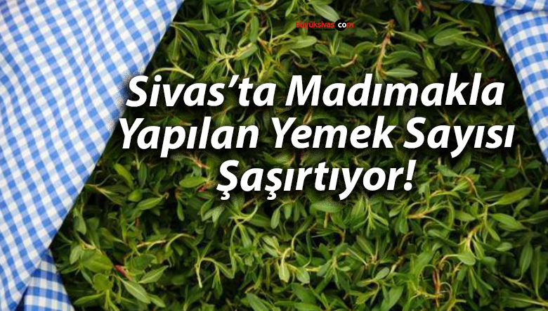 Sivas’ın Yeşil Hazinesi: Madımakla Yapılan 6 Farklı Lezzet
