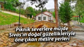 Piknik severlere müjde: Sivas’ın doğal güzellikleriyle öne çıkan mesire yerleri