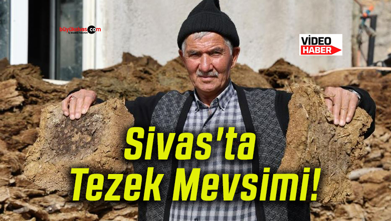 mevsimsa