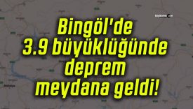 Bingöl’de 3.9 büyüklüğünde deprem meydana geldi!