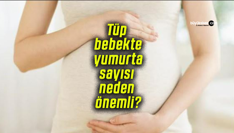 Tüp bebekte yumurta sayısı neden önemli?
