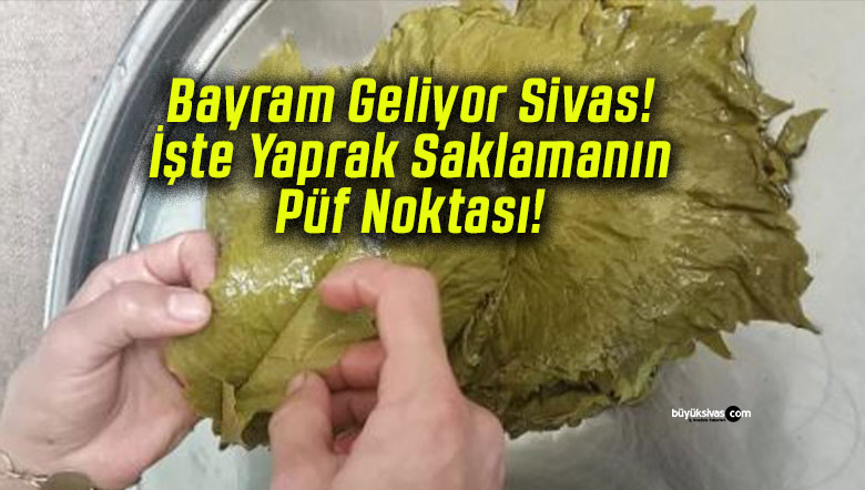 noktası