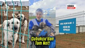 Çubukçu’dan Tam Not!