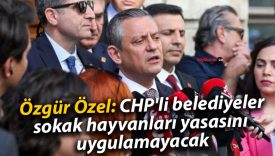 Özgür Özel: CHP’li belediyeler sokak hayvanları yasasını uygulamayacak