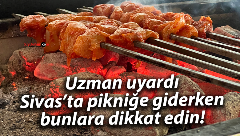 Uzman uyardı: Sivas’ta pikniğe giderken bunlara dikkat edin!