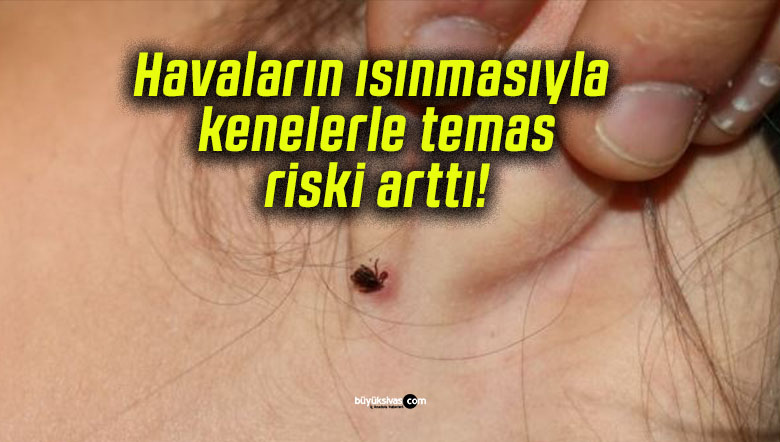 riksa