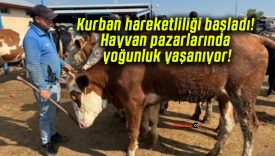 Kurban hareketliliği başladı! Hayvan pazarlarında yoğunluk yaşanıyor!