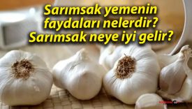 Sarımsak yemenin faydaları nelerdir? Sarımsak neye iyi gelir?