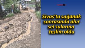 Sivas’ta sağanak sonrasında ahır, sel sularına teslim oldu