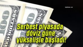Serbest piyasada döviz güne yükselişle başladı!