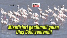 Misafirleri gecikmeli gelen Ulaş Gölü şenlendi!