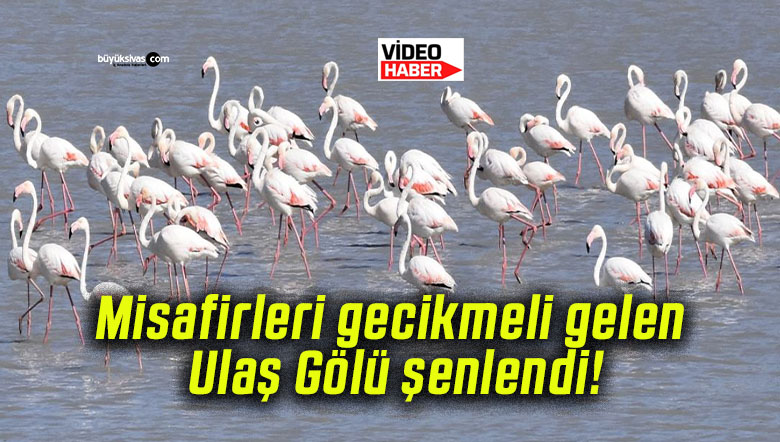 Misafirleri gecikmeli gelen Ulaş Gölü şenlendi!