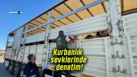 Kurbanlık sevklerinde denetim! Belgeler ve sağlık durumu titizlikle inceleniyor!