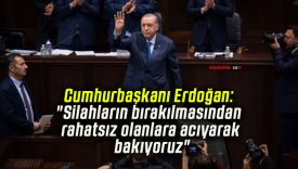 Cumhurbaşkanı Erdoğan: “Silahların bırakılmasından rahatsız olanlara acıyarak bakıyoruz”
