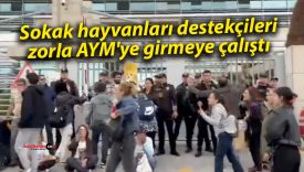 Sokak hayvanları destekçileri zorla AYM’ye girmeye çalıştı