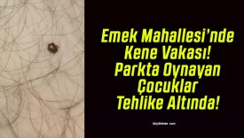 Emek Mahallesi’nde Kene Vakası! Parkta Oynayan Çocuklar Tehlike Altında!