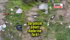 Sivas’ın nazar boncuğu Serpincik Göleti kaderine terk edildi!