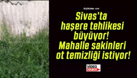 Sivas’ta haşere tehlikesi büyüyor! Mahalle sakinleri ot temizliği istiyor!