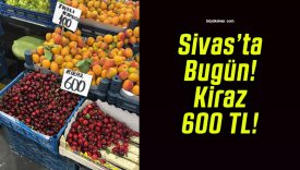 Sivas’ta kirazın kilosu 600 TL oldu! Vatandaş isyan etti!