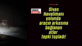 Sivas Havalimanı yolunda aracın arkasına bağlanan atlar tepki topladı!