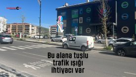 tş
