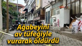 Ağabeyini av tüfeğiyle vurarak öldürdü