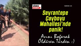Seyrantepe Çayboyu Mahallesi’nde panik!
