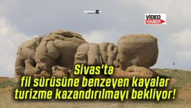 Sivas’ta fil sürüsüne benzeyen kayalar turizme kazandırılmayı bekliyor!