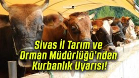 Sivas İl Tarım ve Orman Müdürlüğü’nden Kurbanlık Uyarısı!