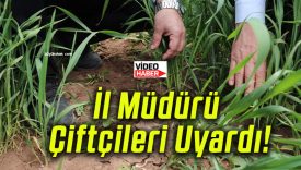 İl Müdürü Çiftçileri Uyardı!