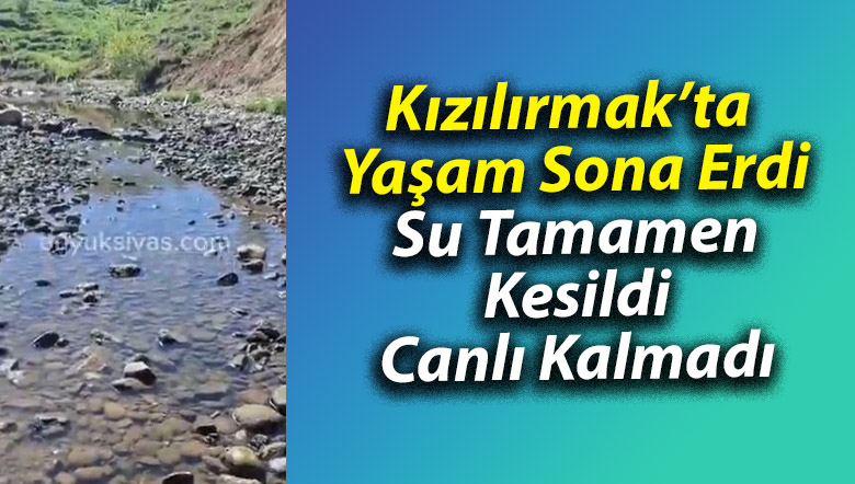 Kızılırmak’ta Yaşam Sona Erdi: Su Tamamen Kesildi, Canlı Kalmadı