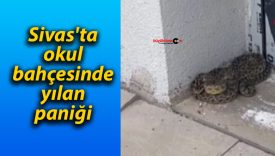 Sivas’ta okul bahçesinde yılan paniği