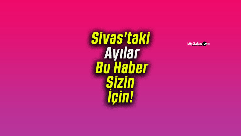 Sivas’taki Ayılar Bu Haber Sizin İçin!