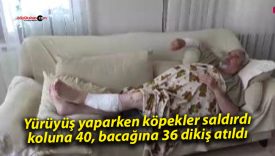Yürüyüş yaparken köpekler saldırdı; koluna 40, bacağına 36 dikiş atıldı
