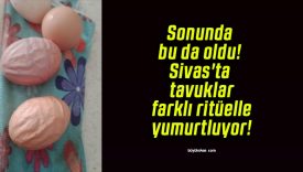 Sonunda bu da oldu! Sivas’ta tavuklar farklı ritüelle yumurtluyor!
