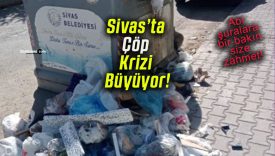 Sivas’ta Çöp Krizi Büyüyor! Mahallelerde Koku ve Pislikten Durulmuyor!