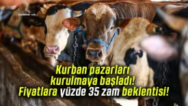 Kurban pazarları kurulmaya başladı! Fiyatlara yüzde 35 zam beklentisi!