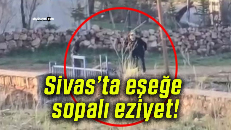 Sivas’ta eşeğe sopalı eziyet!