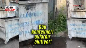 Çöp konteyneri aylardır akıtıyor!