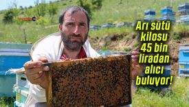 Arı sütü kilosu 45 bin liradan alıcı buluyor!