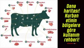 Dana haritası! Kurban etinin bölgelere göre kullanım rehberi!